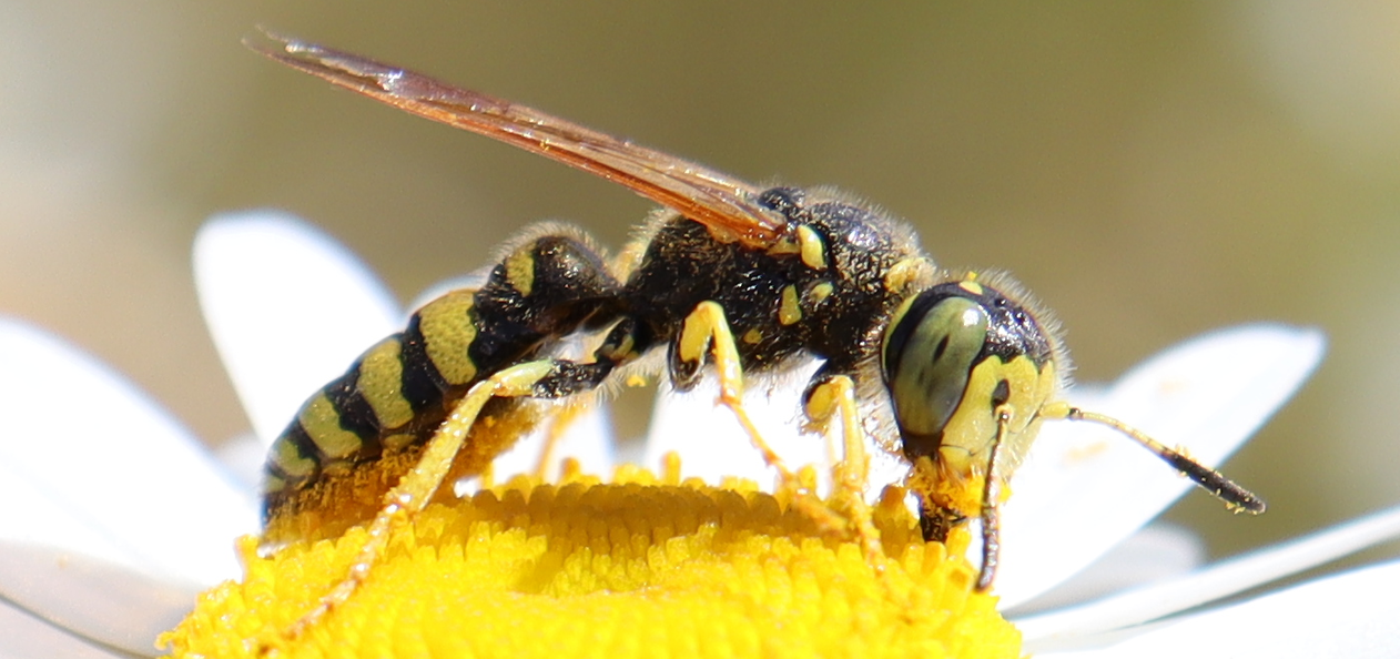Profile Banner