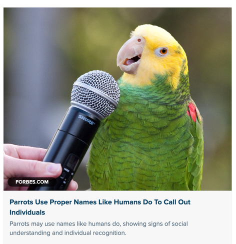 Posted media