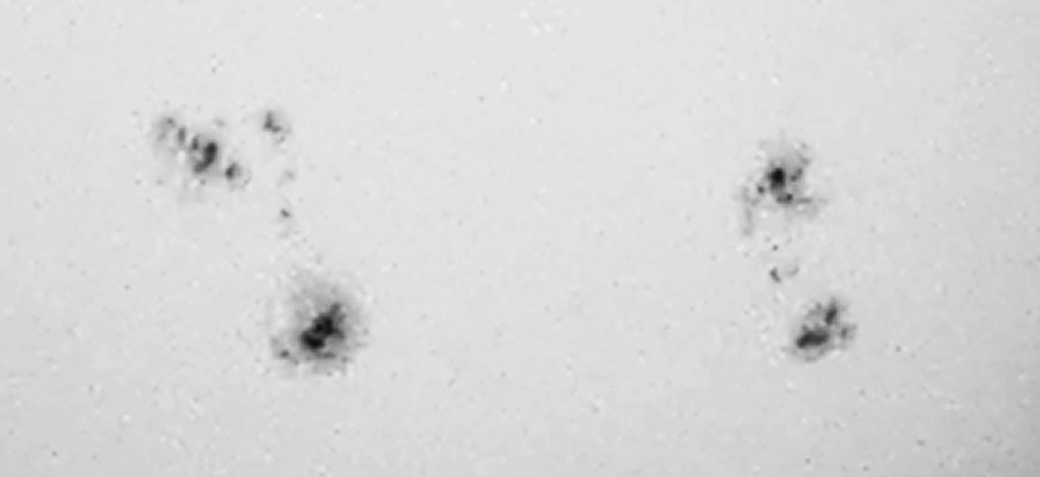 Close-up one, turned black & white.